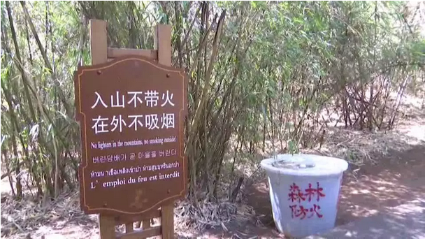 贊！雞足山景區(qū)連續(xù)35年無森林火災(zāi)，因?yàn)樗麄?..