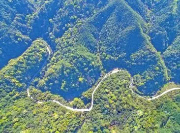 智能化，讓森林防火監(jiān)控管護(hù)更“智慧”