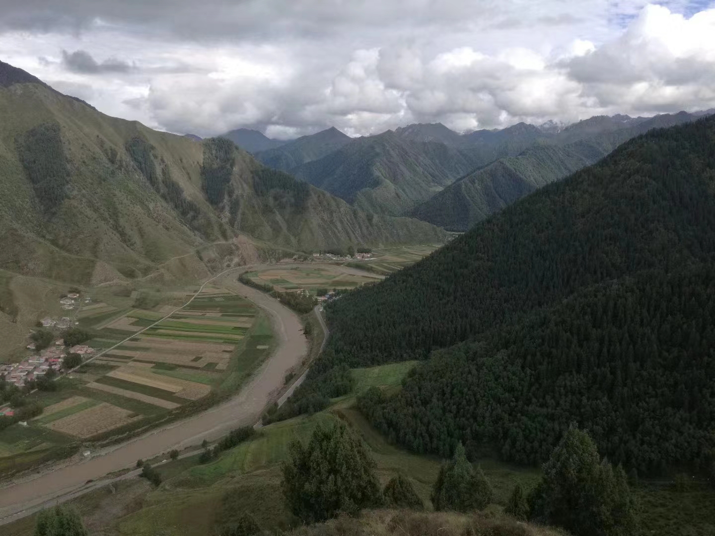 電力防山火預警